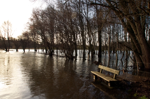Flooded bench 2